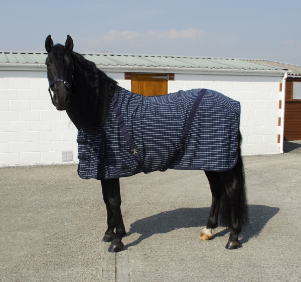 Rhinegold Cooler Rug